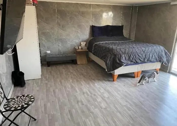 Carykat 23
